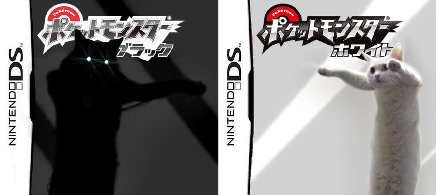 Pokemon Black and White