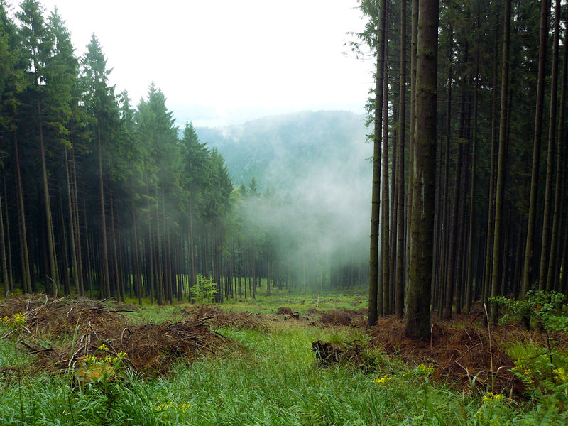 Stock 0015 - Misty hill by Niverdia-stock Stock 0015 - Misty hill by Niverdia-stock