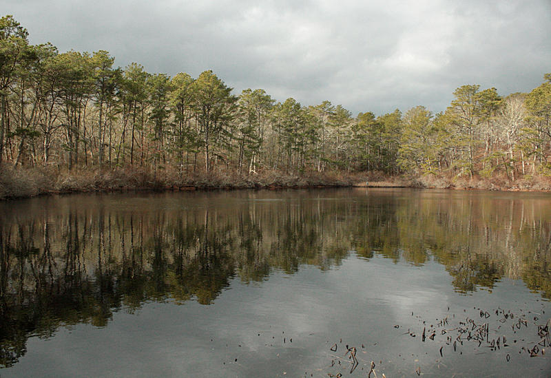 Nickerson State Park