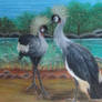 Royal Crane Couple