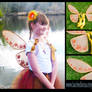 Autumn Fae Wings