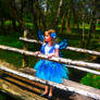 Water in the Wood