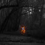 Forest of Ash, Fae of Flame
