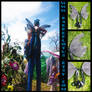 Dark Starlight Fairy Wings
