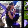 Purple Pixie Wings