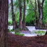 zaculeu river and neighborhood 7