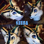 Commission head, Keeba