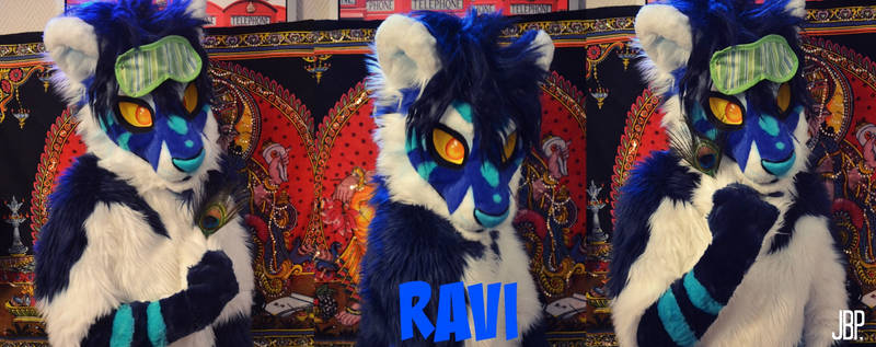 Toony Ravi fursuit