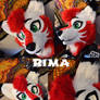 Commission head - Rima