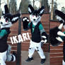 Ikari the monster fennec fursuit