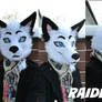 Commission head - Raiden the fox