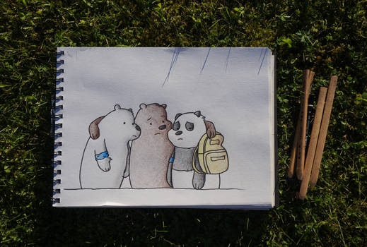 We Bare Bears