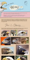 Raptor Beaks Tutorial by Foxofwonders