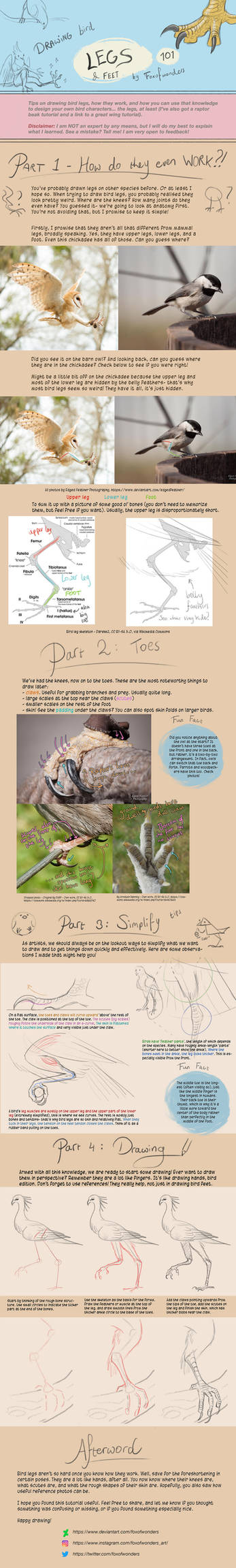 Bird Legs Tutorial
