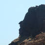 Face at Cape Spear