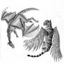 Tiger and Dragon