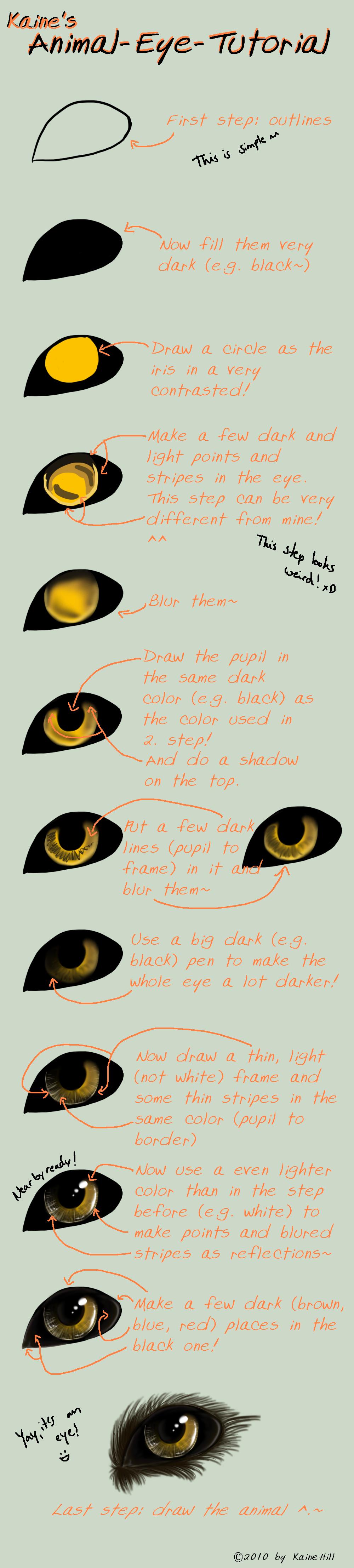 Kaine's Animal Eye Tutorial