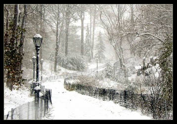 Snow Covered City