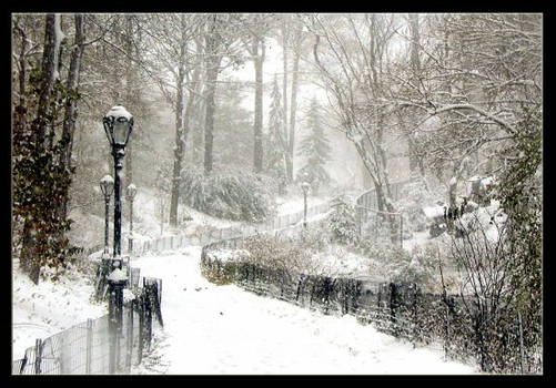 Snow Covered City