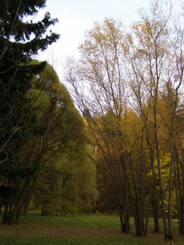 Autumn in Sirion's valley