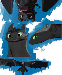 Toothless AKA Dork