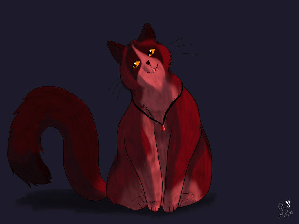 Fiery Cat 10.15.21 by DovaQu33n on DeviantArt