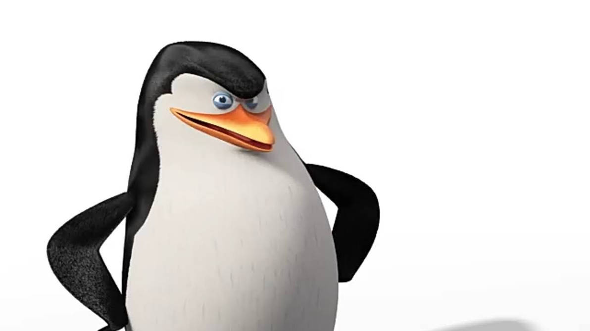 Skipper (Penguins of Madagascar) by DemezioLimadosSantos on DeviantArt