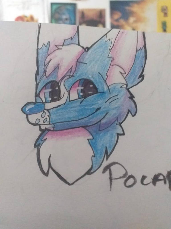 Pocari Roo Draw Fanart for Pocari Roo by UniiTheBezudQueen on DeviantArt
