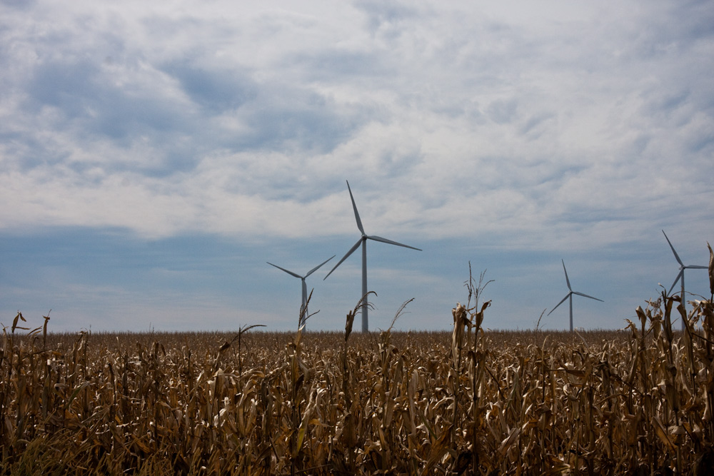 More Windmills