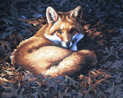 Sunlit Fox