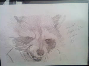 Rocket Raccoon