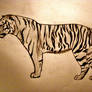 White Tiger (30 min drawing)