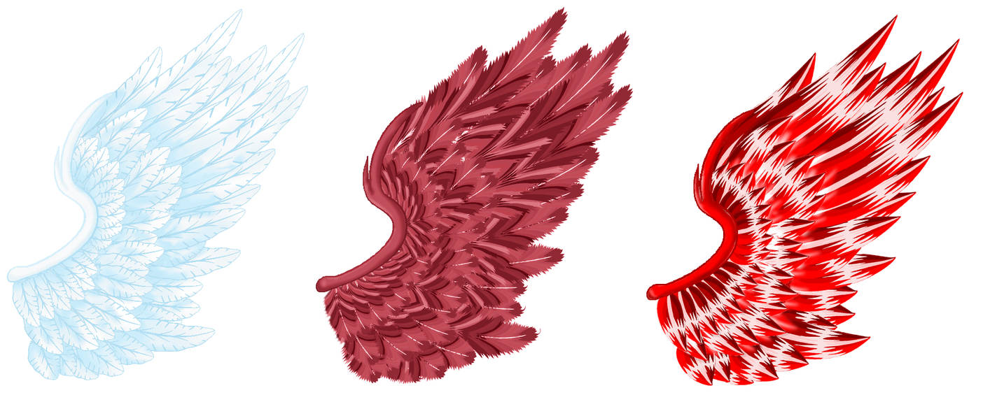 Angel Wing Study Variations by aciampal on DeviantArt