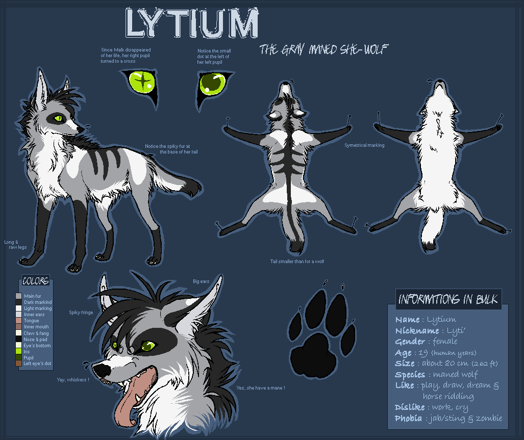 Lytium Caracter Sheet by La-Malkavian