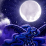 Longest Night