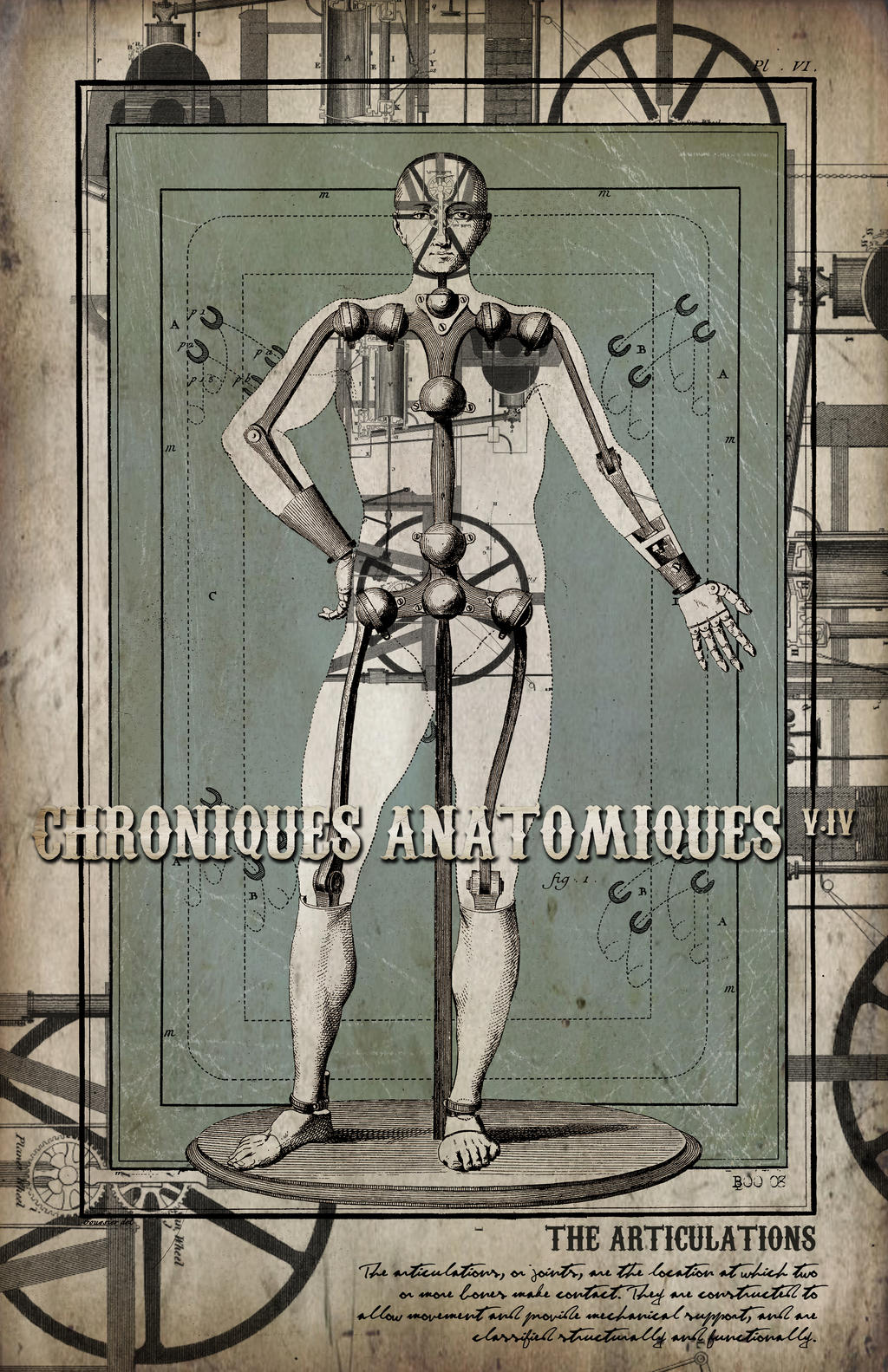 Chroniques Anatomiques V.IV,II