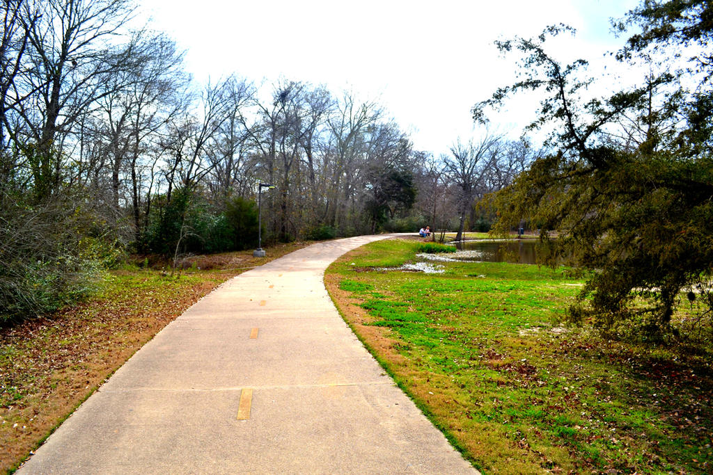 Bright Point Path The Bright Path by Chris2059 on DeviantArt