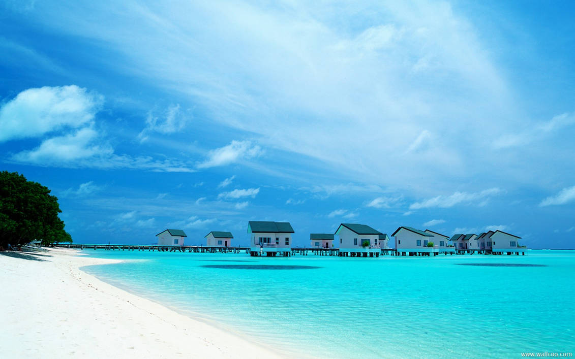 Azur море. Мальдивы Хитхадху. Бунгало на Мальдивах. Мальдивы пляж. Мальдивы заставка.