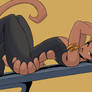 Feline Friday 2026 05 01