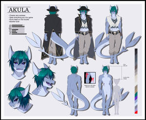 Akula the dragon shark pirate