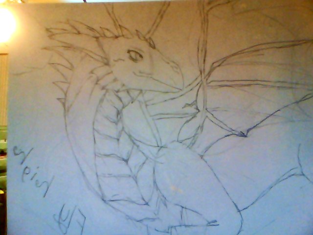 Fly high, Dream big (unfinished dragon)