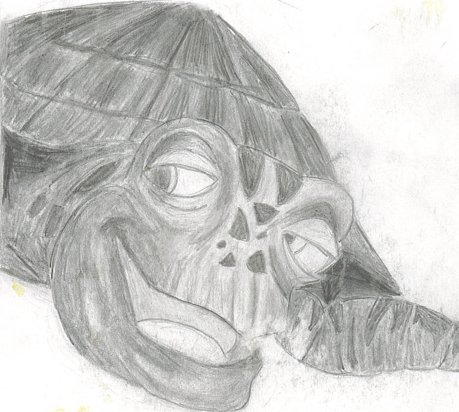 Deviantart Softshell Turtle Turtle by IHeartMyVans on DeviantArt