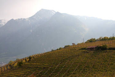 Hills of Trento