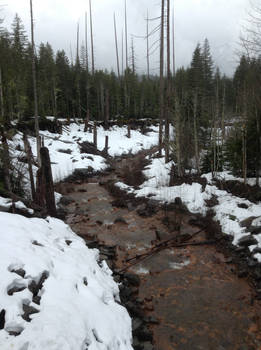 River- Mount Rainier