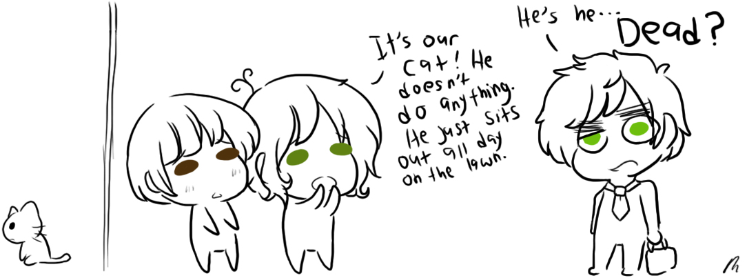 MP + APH_Confuse-a-cat