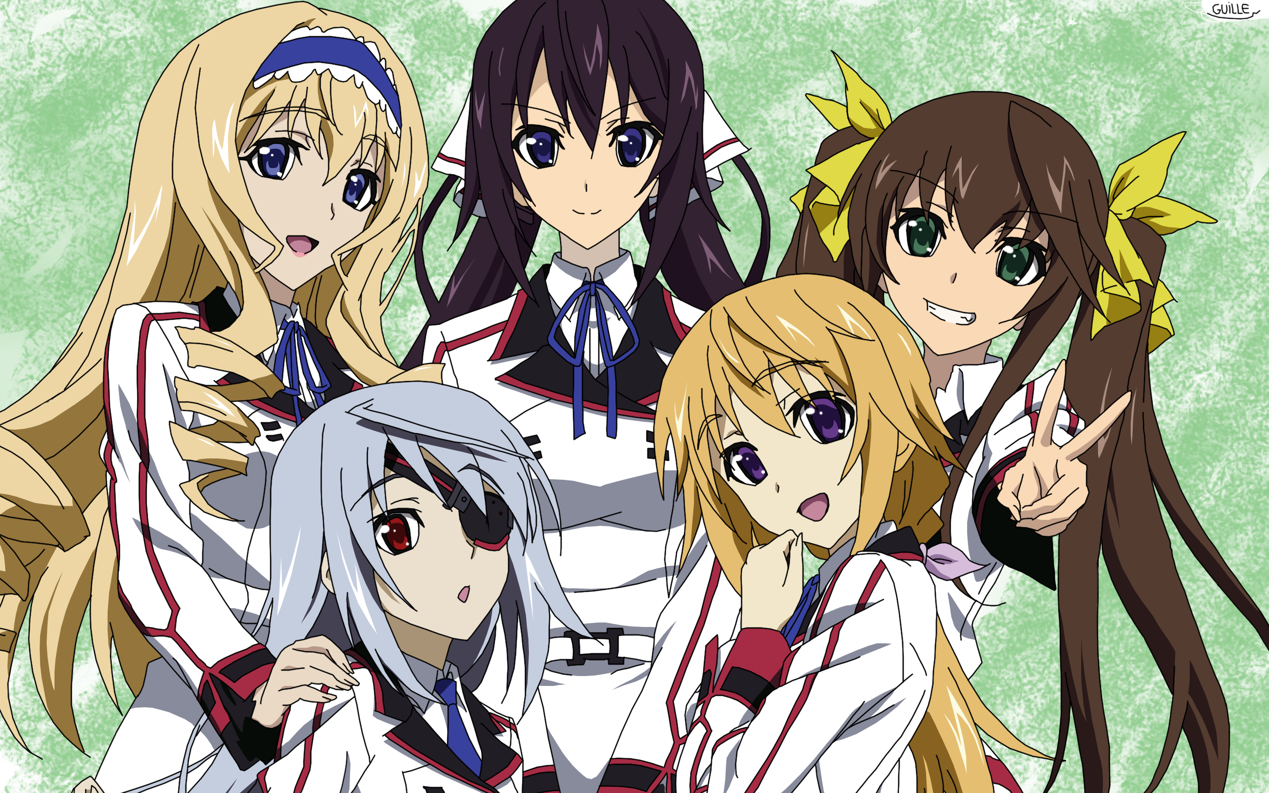 IS: Infinite Stratos Character Mashup Anime  iPad Case & Skin for