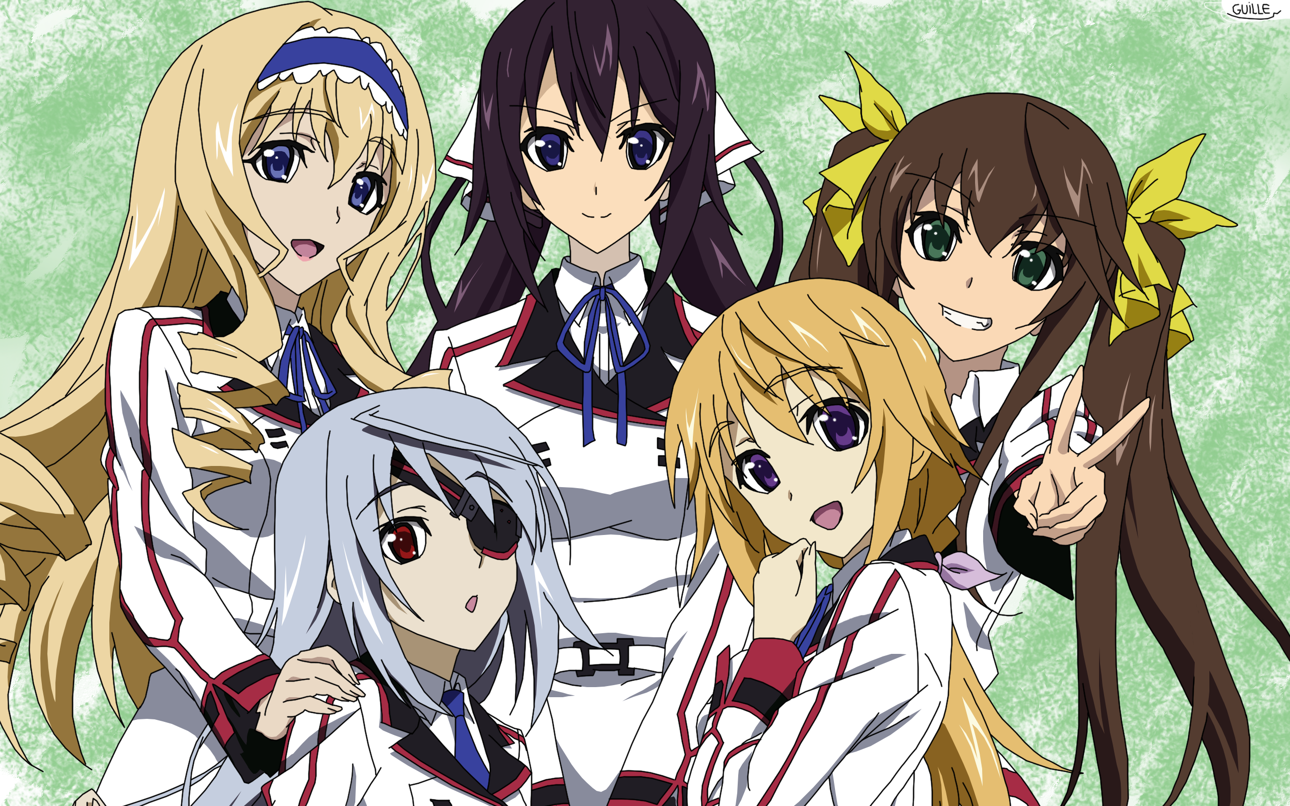 IS: Infinite Stratos Character Mashup Anime | iPad Case & Skin