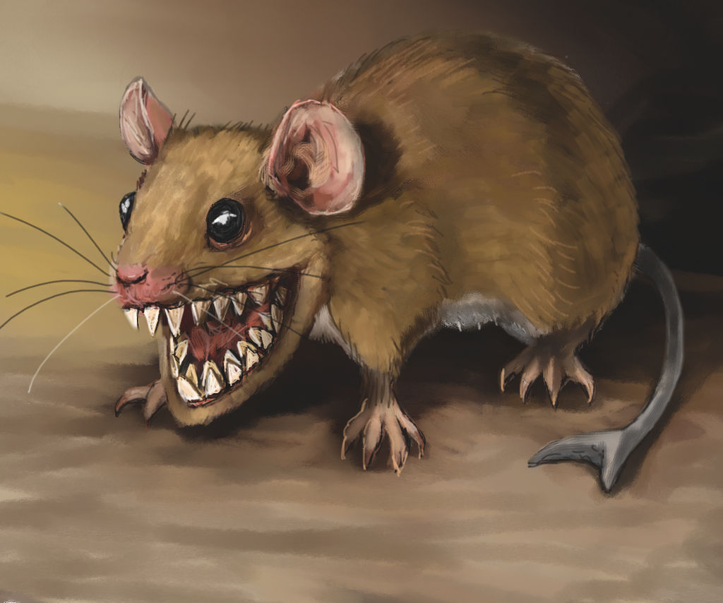 Swash Mouse Shark-toothed Mouse by Crowsrock on DeviantArt