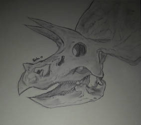 Triceraptops !