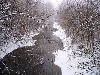 Snowfall on TJ Creek